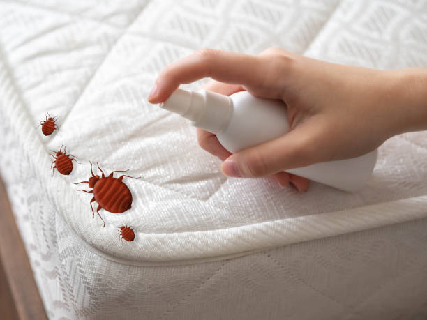 Best Bed Bug Extermination  in Killian, LA